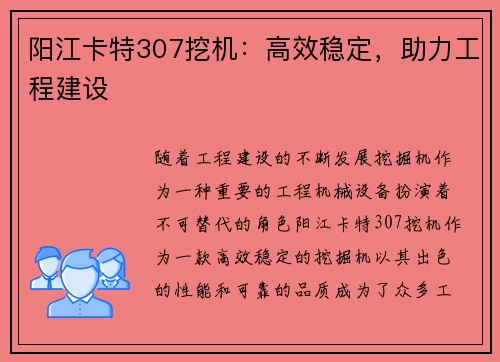 阳江卡特307挖机：高效稳定，助力工程建设